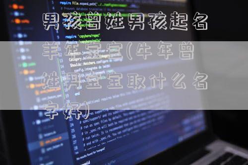 男孩曾姓男孩起名羊年宝宝(牛年曾姓男宝宝取什么名字好)