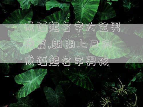 成语起名字大全男孩篇,朗朗上口的成语起名字男孩