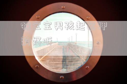 猴宝宝男孩起名押韵好听