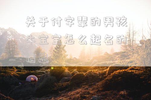 关于付字辈的男孩牛宝宝怎么起名的信息