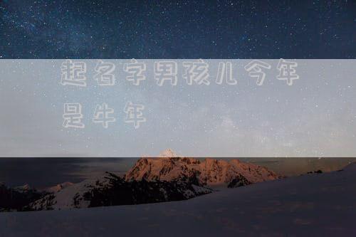 起名字男孩儿今年是牛年