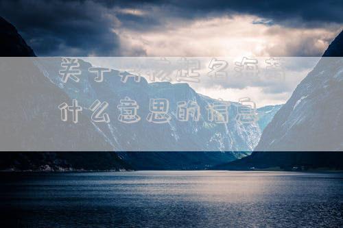 关于男孩起名海若什么意思的信息