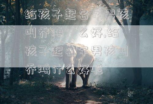 给孩子起名字男孩叫乔鸿什么好,给孩子起名字男孩叫乔鸿什么好呢