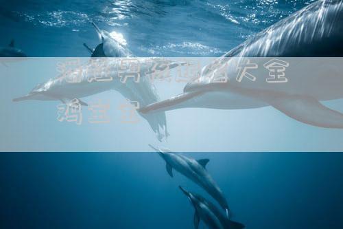潘姓男孩起名大全鸡宝宝