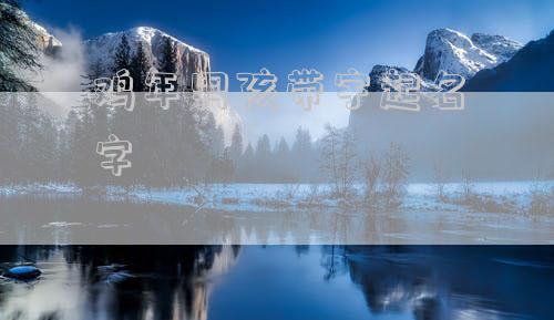 鸡年男孩带宇起名字