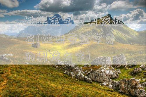 姓解金字辈男孩起名(姓谢带金字旁的男孩名字)