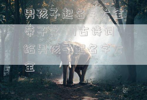 男孩子起名字大全带子字 用古诗词给男孩子起名字大全