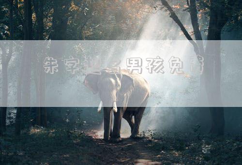 朱字起名男孩免费