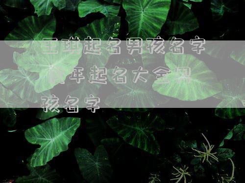 王琪起名男孩名字 虎年起名大全男孩名字