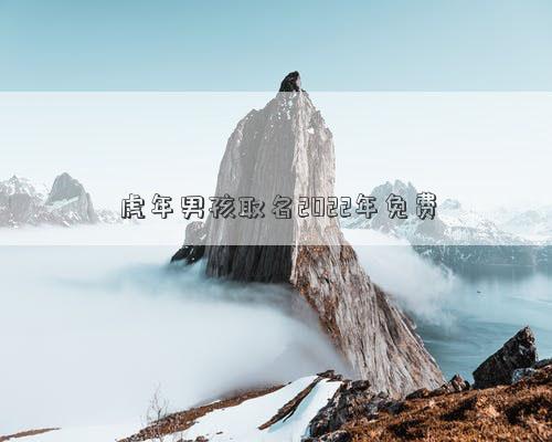虎年男孩取名2022年免费