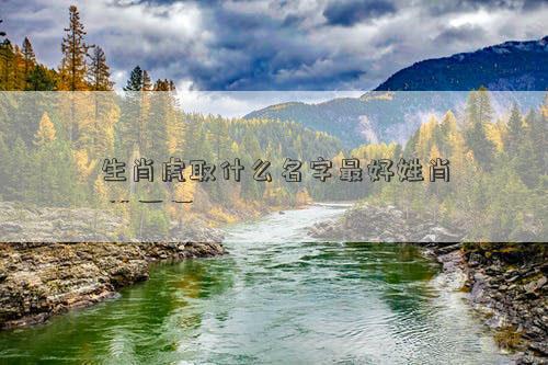 生肖虎取什么名字最好姓肖