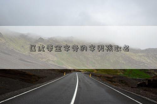 属虎带金字旁的字男孩取名