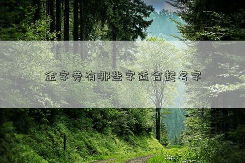 金字旁有哪些字适合起名字