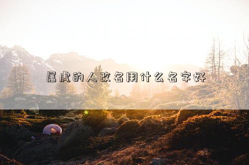 属虎的人改名用什么名字好