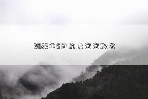 2022年5月的虎宝宝取名