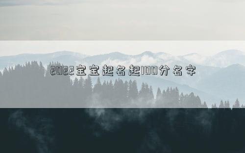 2022宝宝起名起100分名字