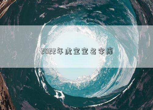 2022年虎宝宝名字库