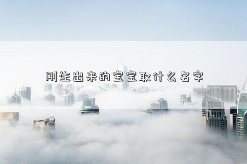 刚生出来的宝宝取什么名字