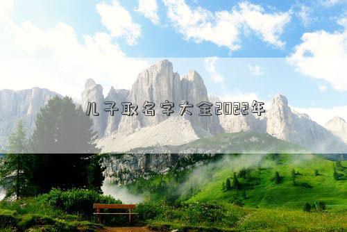 儿子取名字大全2022年