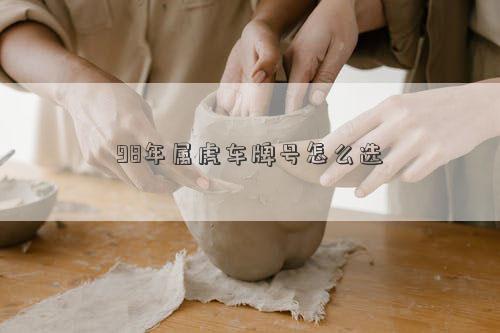98年属虎车牌号怎么选