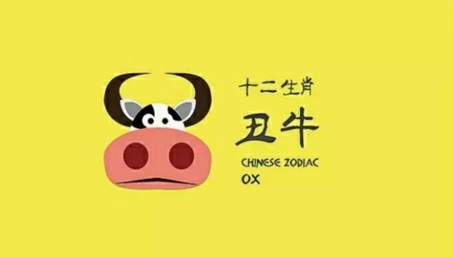 属牛的人，起名时需要注意的禁忌 杨姓男宝宝取名牛年？
