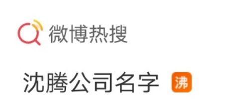 海口起名公司 海口有给公司起名的吗？