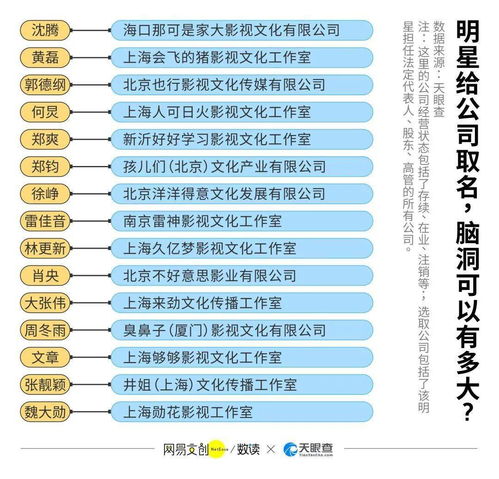 互联网公司怎么起名 最新互联网公司起名,寓意好的互联网公司名字