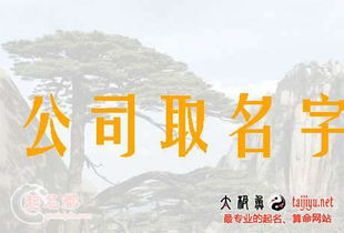 建材公司起名有瑜字 起名皓瑜的含义？