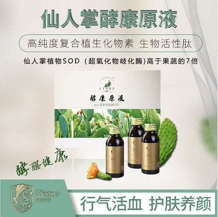 酵素公司名起名 酵素公司名起名