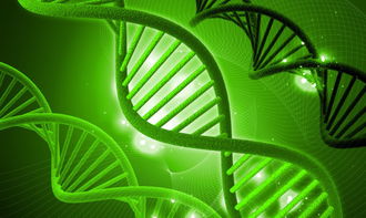 给生物科技公司起名 生物科技公司起名生物科技公司名字高端洋气？