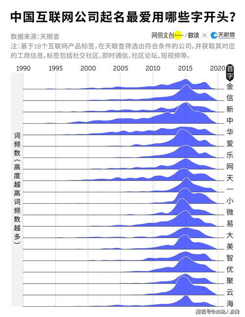 网络公司怎么起名规则 网络公司怎么起名规则