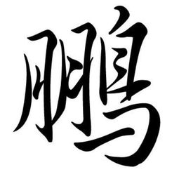 用周易的字公司起名字 周易起名 公司取名字最新