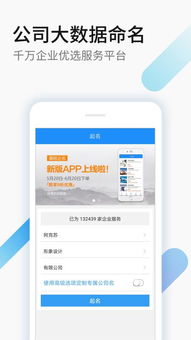 伟岸网络公司起名 网络公司起名字大全 网络公司名字有什么