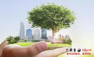 物业公司起名用哪些字好 物业公司名称,寓意好的物业公司名字
