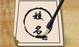 免费起名公司打份 免费起名公司打份