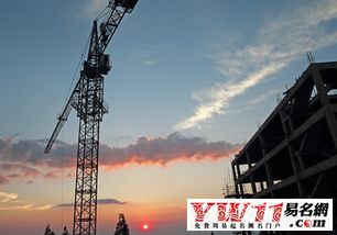 交通公司起名网