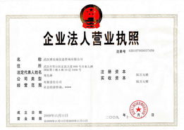 起名公司工商执照 营业执照名字怎么取，营业执照的名字怎么取