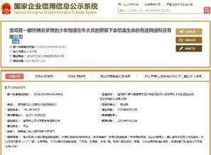 网络公司起名奇葩 网络公司起名奇葩