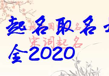 免费公司取名字大全起名网 公司起名字大全参考