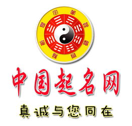 公司起名宫网 取名网官网？