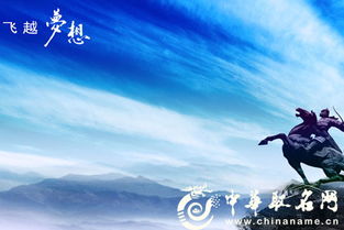 债务管理公司起名 财务公司叫什么名称？