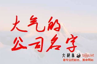 公司起名字大全二个字 公司起名2个字 两个字的公司名字有哪些