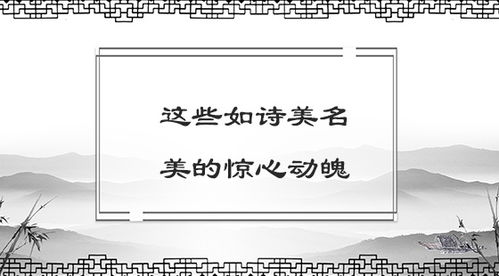 属木法人合伙公司起名 属木的公司名字大全免费 五行属木的公司名称有哪些