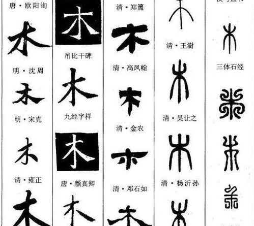 带木字旁的公司起名字 带木字旁的公司起名字