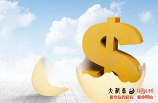 公司业务种类起名 公司业务种类起名