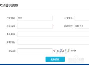 公司起名怎么查重 工商注册名字查重