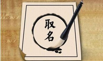 哪个公司用天起名 哪个公司用天起名