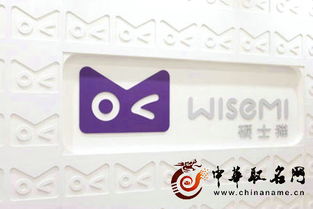 公司起名注册要求 公司名字格式要求？