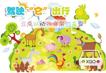 动物起名的设计公司 动物起名的设计公司